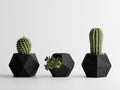 Gio Trio Geometric Planter Set | Modern Indoor Planters
