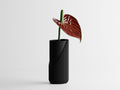 Encastra Two-Tone Vase | Modern Decorative Vase