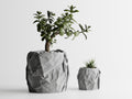 Crumbled Paper Pot Round Planter | Modern 3D Printed Planter