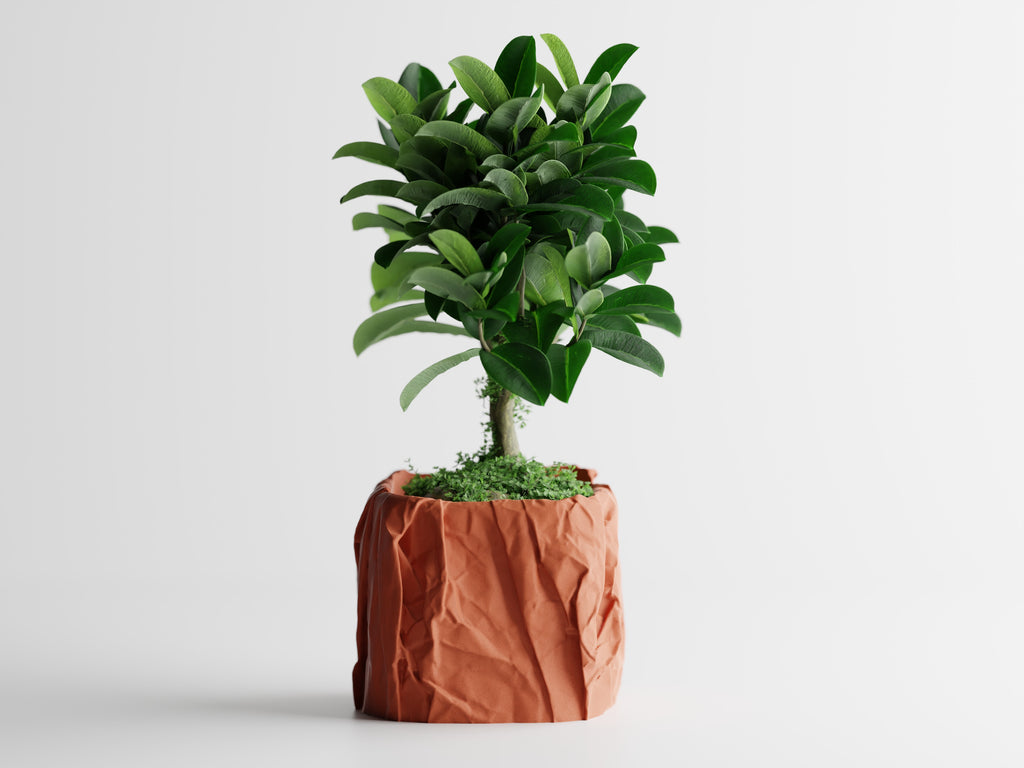 Crumbled Paper Pot Square Planter | Modern 3D Printed Planter