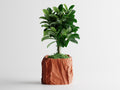 Crumbled Paper Pot Square Planter | Modern 3D Printed Planter
