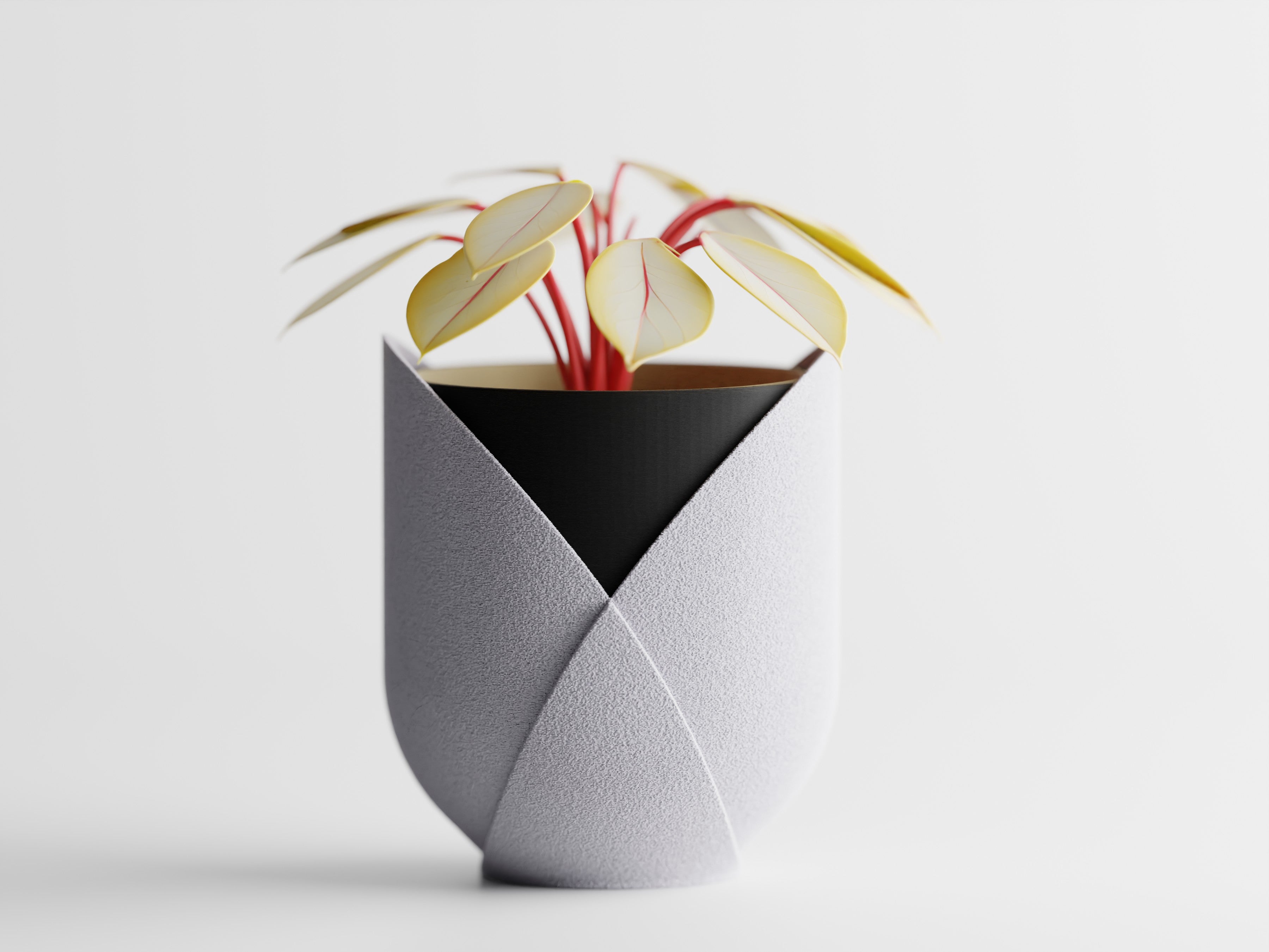 Elyndra Two-Tone Planter Pot | Modern Indoor Planter