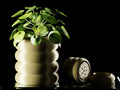 Fluxo Planter Pot | Planter with Drainage Tray