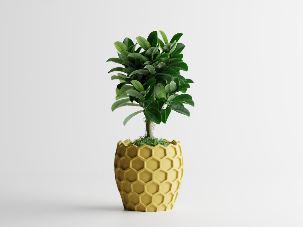 Beehavia Honeycomb Planter | 3D Printed Indoor Planter