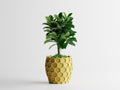 Beehavia Honeycomb Planter | 3D Printed Indoor Planter
