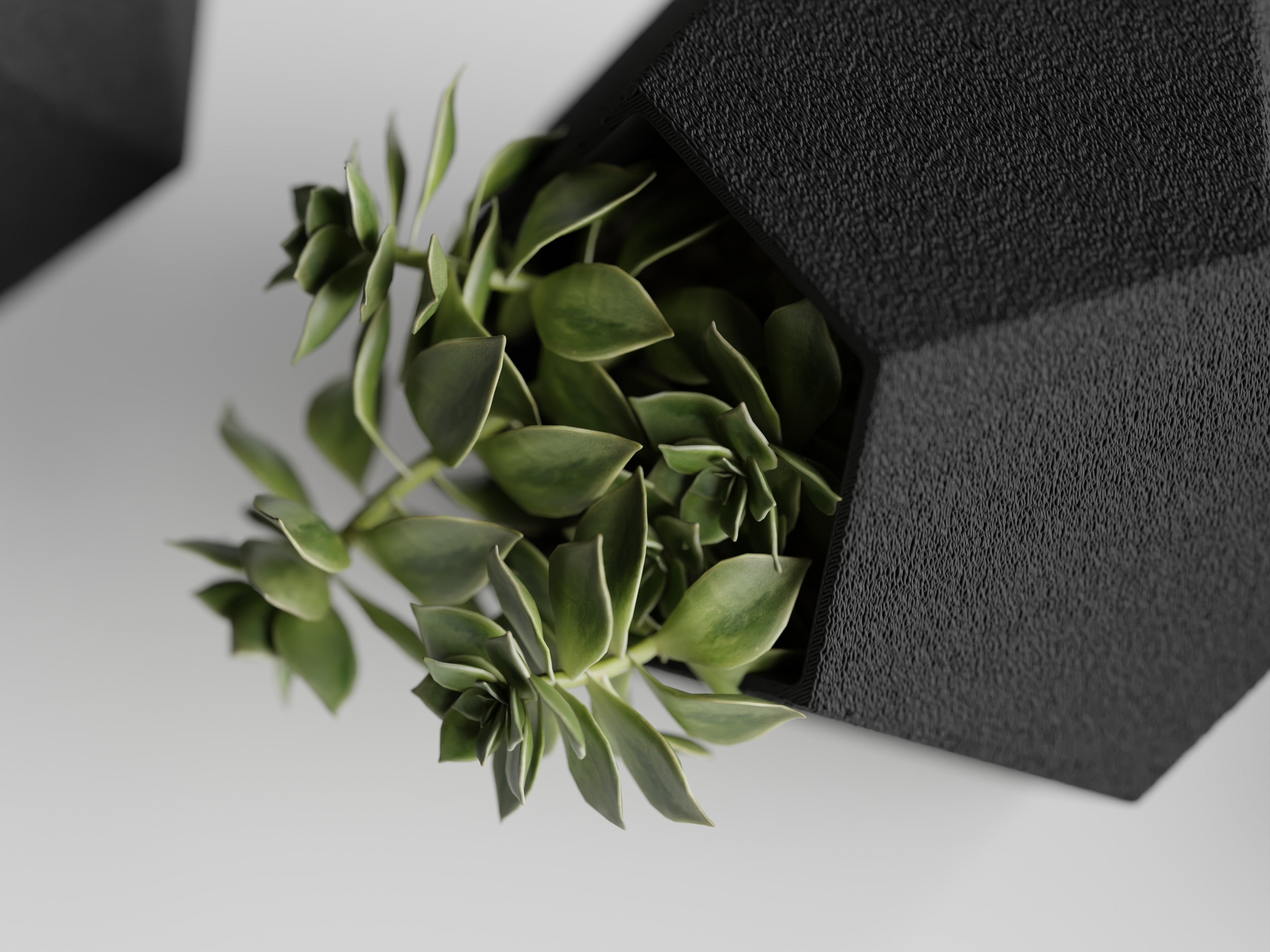 Gio Trio Geometric Planter Set | Modern Indoor Planters