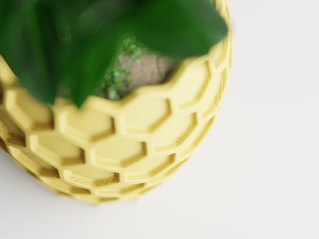 Beehavia Honeycomb Planter | 3D Printed Indoor Planter