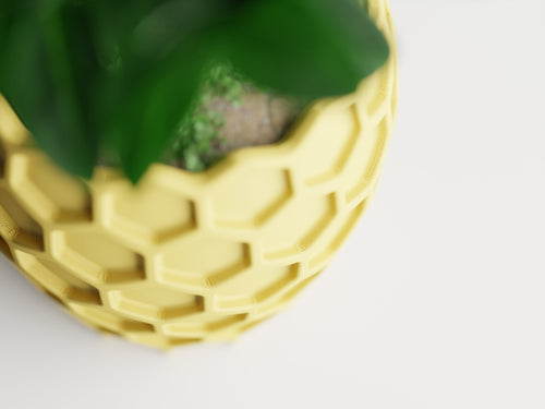 Beehavia Honeycomb Planter | 3D Printed Indoor Planter