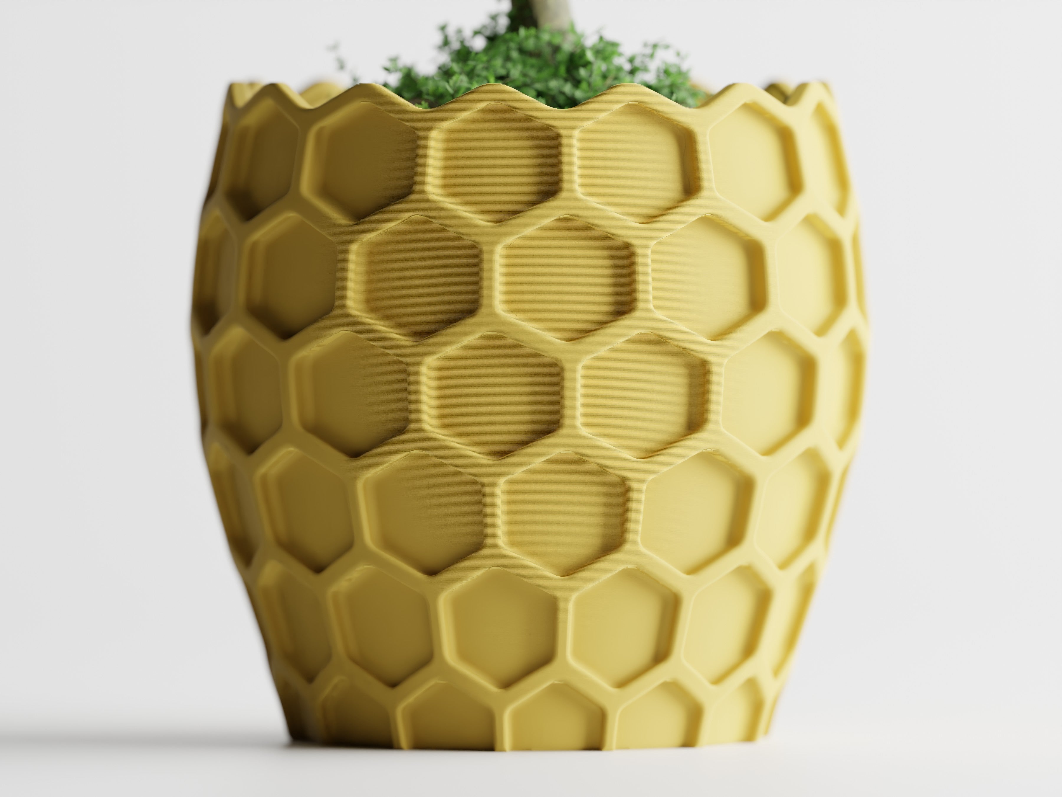 Beehavia Honeycomb Planter | 3D Printed Indoor Planter